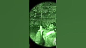 The Horrors of Lab X16 #stalker #stalkergamma