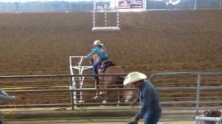 Emilys 91716 Lalbr Goat Run-1St Place 29.296