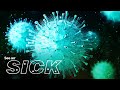 Understanding Influenza