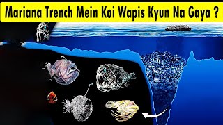 Why No Scientist Wants To Go Back Into The Mariana Trench
