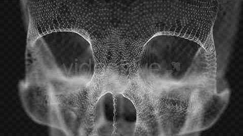 Grid of Human Skull 4 | Motion Graphics - Envato elements