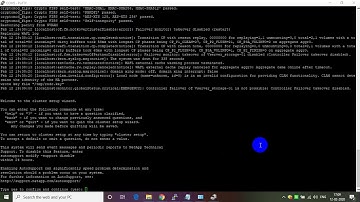 Netapp cluster setup