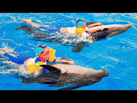 หนูยิ้มหนูแย้ม ว่ายน้ำกับโลมา Pattaya Dolphinarium