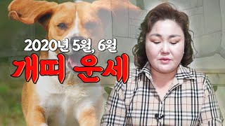 (서울점집,홍대점집) 2020년 &#39;5월, 6월 개띠 운세&#39;(27세, 39세, 51세, 63세,…