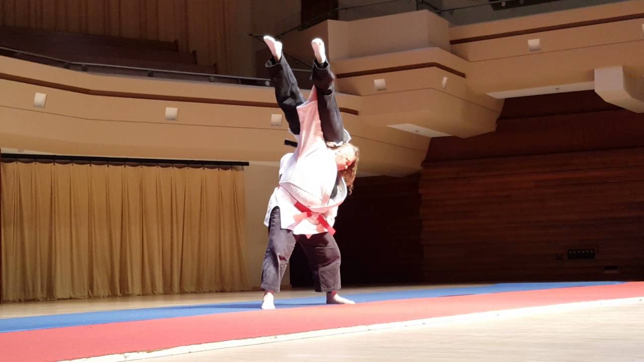Fast and Slow: Danzan Ryu Jujitsu Demo at 2016 Tri-Alliance Gathering  (AWMAI, NWMAF, & PAWMA)