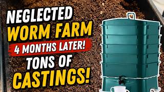 I Neglected My Worm Farm for 4 Months… Here’s What Happened #vermicompost #vermicomposting