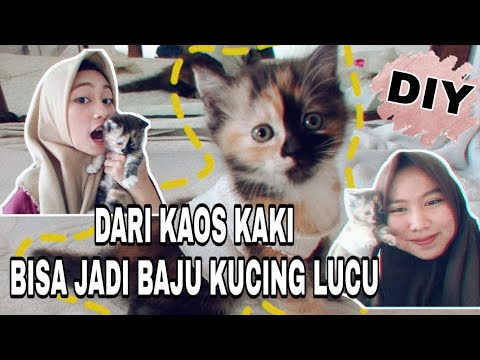  DIY CARA  SIMPEL MEMBUAT  BAJU  KUCING  UNTUK KITTEN DARI  KAOS  KAKI  YouTube