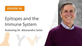 Epitopes and the Immune System featuring Dr. Alessandro Sette | The Immunology Podcast