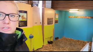 Vlog Kinderboerderij Den Uylpark