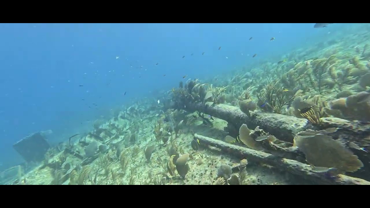 Started 2026 Underwater: Epic New Year's Day Shipwreck Dive in Nassau, Bahamas! 🌊🚢