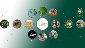 How migration affects the increase or decrease of populations