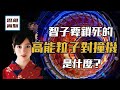 高能粒子對撞機到底該不該建造？丨楊振寧與王貽芳爭論的焦點，劉慈欣筆下，干擾它就能鎖死全人類的科學進步 丨思維實驗室 14