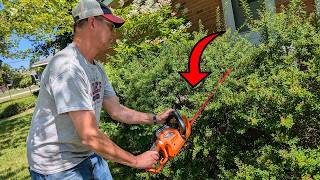 Is a Corded Hedge Trimmer Still Worth Buying