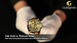 24k Gold Plated Roses | Real Roses Preserved in 24k Gold | 24k Gold Real Roses | Goldgenie | Video