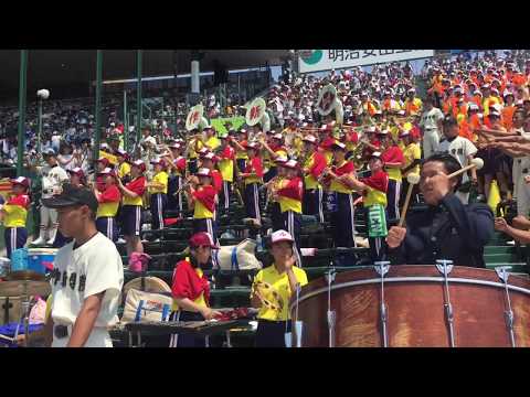 【2019夏甲子園】作新学院応援♫大太鼓の応援団員カッコ良すぎて惚れる！！吹奏楽！野球部！応援団！中京学院大中京戦！
