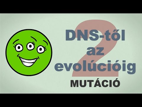 A DNS-től az evolúcióig - csak egyszerűen (2. rész)