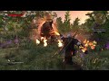 The witcher 3 igni firestream op