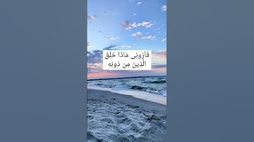 هذا خلق الله .. هدوء وسكينة || تلاوة من آيِ القرآن الكريم