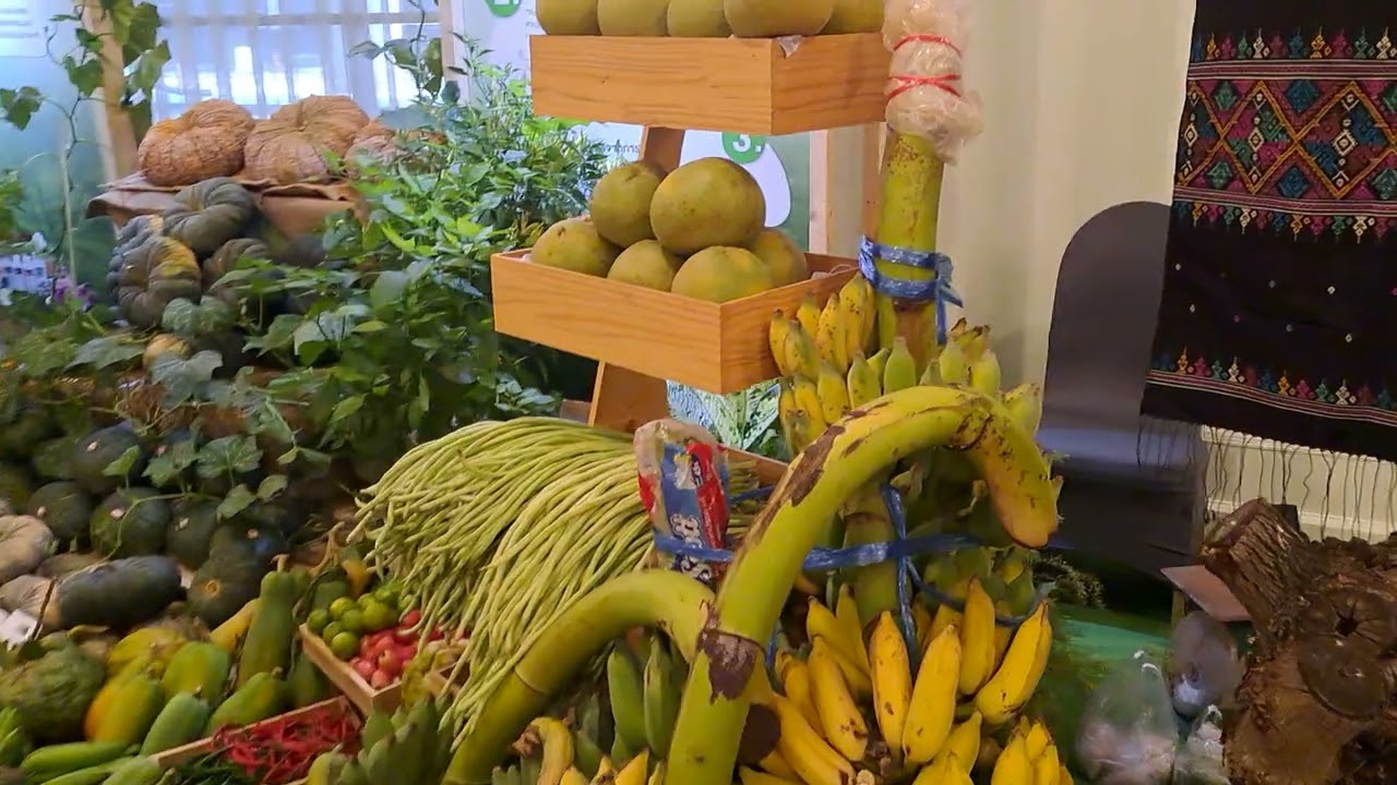 ผลิตภัณฑ์เกษตรแอมเวย์ งานแอมเวย์Expo.ปี69(1)