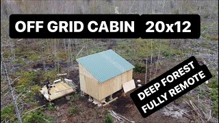 TOTALY OFF GRID CABIN BUILD | SUPER REMOTE |  AFFORDABLE ROOF & SIDING OF 12x20 CABIN