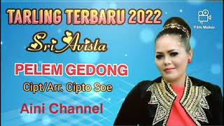 PELEM GEDONG Voc.Sri Avista Karya Cipt.Cipto Soe (Cover Vidio Lirik)#ainichannel#sriavista