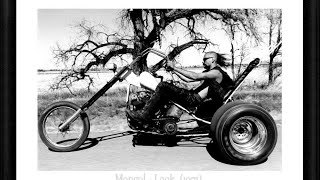 Dennis Stock - CALIFORNIA TRIP  (by elena dilascio ) News