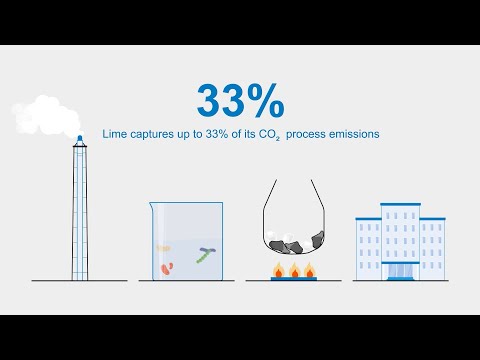 Video: A absorbit calcarul dioxidul de carbon?