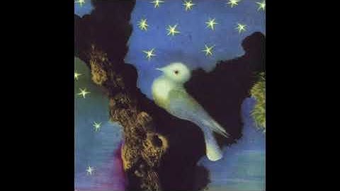 Jessica Pratt - Shadows of Swallow