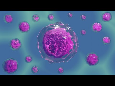 Video: Nieuwe Coronavirus-variant. Het is gemaakt op basis van de subopties BA.1 en BA.2