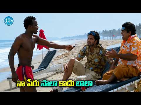 ఇక్కడ కూడా ఫ్యాన్స్ ఉన్నరేంట్రా నీకు || Brahmanandam Allari Naresh Ultimate comedy Scenes