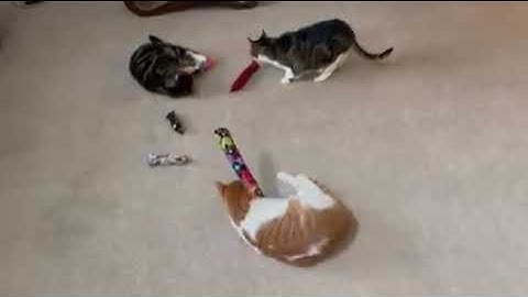 The Kitty Kick Stick Sample Pack of catnip kicker toys - Interactive Place