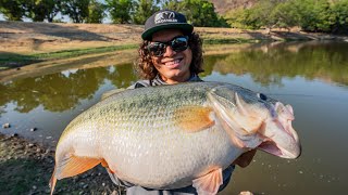 Lobina GIGANTE en Lago Artificial!! | Pesca de Orilla