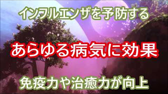 ぶるーすきんの森 【初スレ立て】ぶるーすきんの森の質問したいスレ