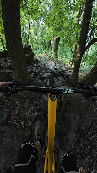 Perfect trail for YT Jeffsy #mtb#djiosmoaction4#ytjeffsy#ytcapra#raw#moutains#downhill#mtblife