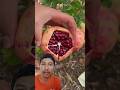 Buah Pome Yang Dimakan Bijinya Ninjafruitcutting Fruit Awesomefruitscutting Pomegranate Buah Pome Yang Dimakan Bijinya Ninjafruitcutting Fruit Awesomefruitscutting Pomegranate