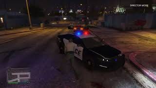 Officer Linda shoots her first and last shot