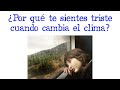 😟 ¿Por qué te sientes triste cuando cambia el clima? 🍂 [Fácil y Rápido] | BIOLOGÍA |