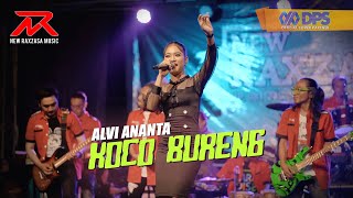 Alvi Ananta - KOCO BURENG || NEW RAXZASA (Live Kaligung, Rogojampi)