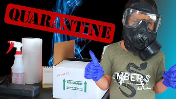 How To Quarantine Your New Ball Python // Unboxing 2 New Snakes!!