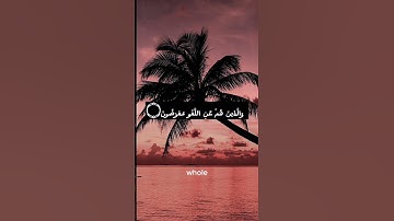 قد أفلح المؤمنون ❤️#تلاوات #قرآن