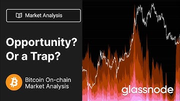 The Week On-chain - Opportunity? Or a Trap? - Week 4 2023 (Bitcoin Onchain Analysis)