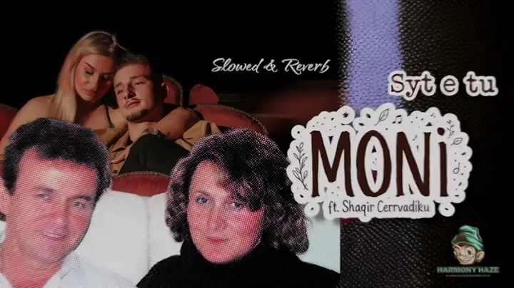 MONi ft. Shaqir Cerrvadiku - Syt e tu (Slowed + Reverb)