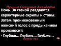 Лучшие смешные анекдоты  Выпуск 951