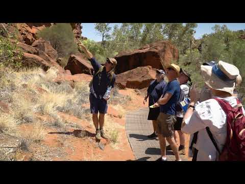 Emu Run Experience - 1 Day Palm Valley 4WD Tour