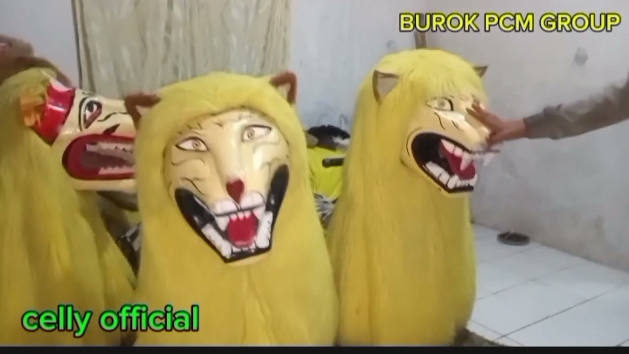 GREBEK gudang burok PCM GROUP ( PUTRA CAHAYA MARGASARI )#celly #atraksiburok