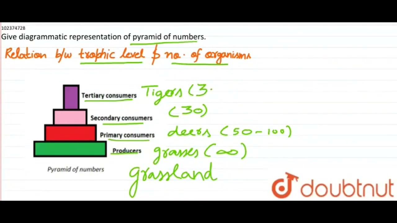 Diagrammatic Representation Of Pyramid Of Numbers