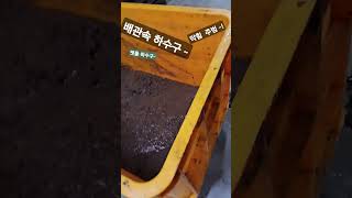 하수구가 자주 막히는  원인좀 밝혀 주세요 ~!!!!!#하수구막힘 #횡주관막힘 #메인관막힘
