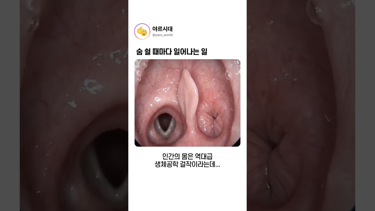 숨 쉴 때마다 일어나는 일