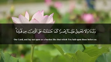 أواخر سورة البقرة بصوت القارئ يوسف المعمري