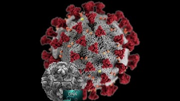 Universe Size Comparison Part 3